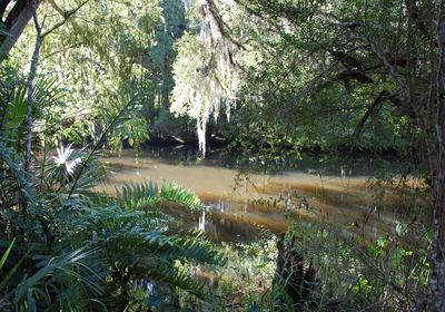 Gamble Place and Its Many Ecosystems