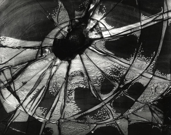 Brett Weston: Significant Details