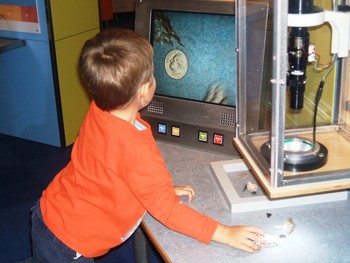 Video Light Microscope